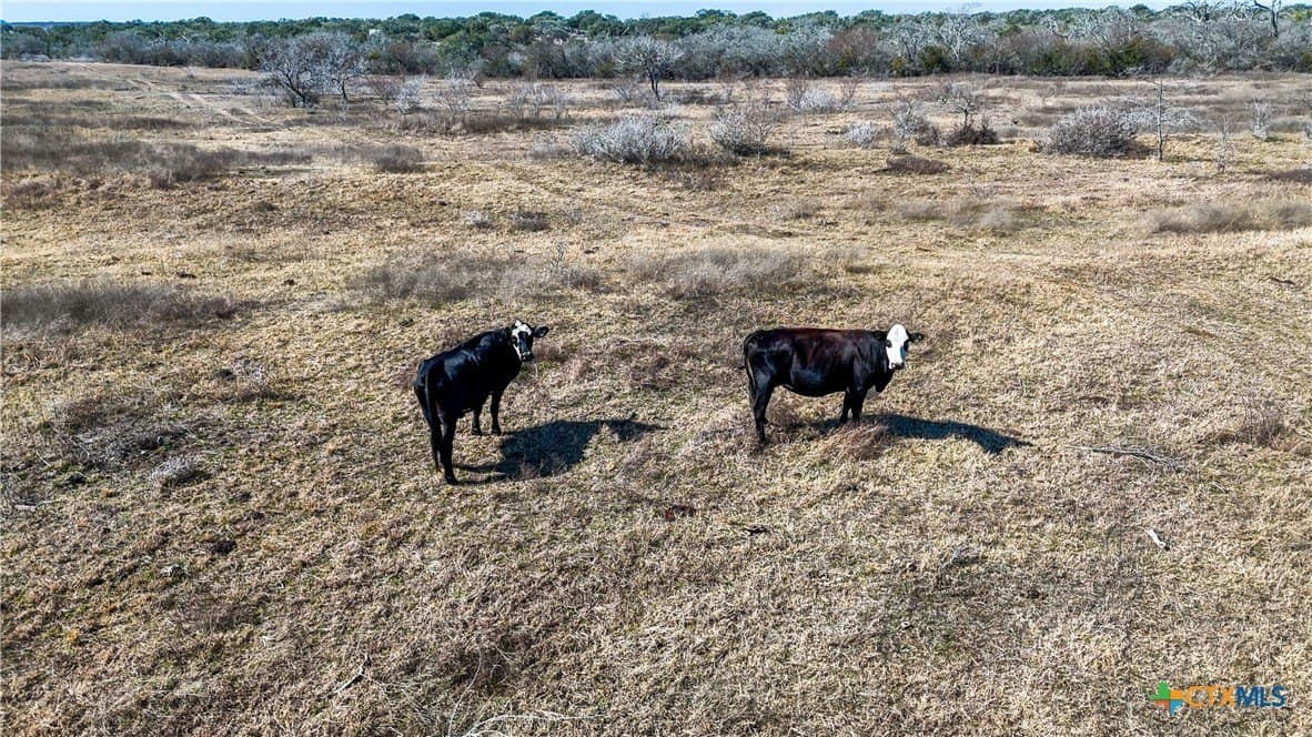 43.67 acres in DeWitt County featured view