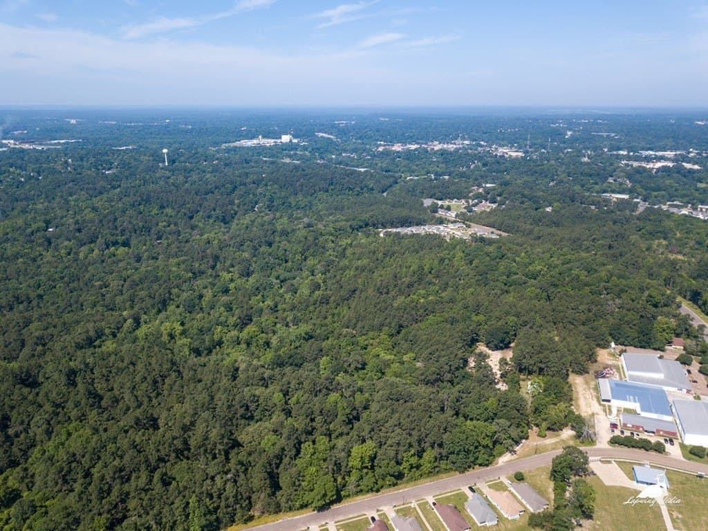 43.82 acres in Nacogdoches County gallery image 4