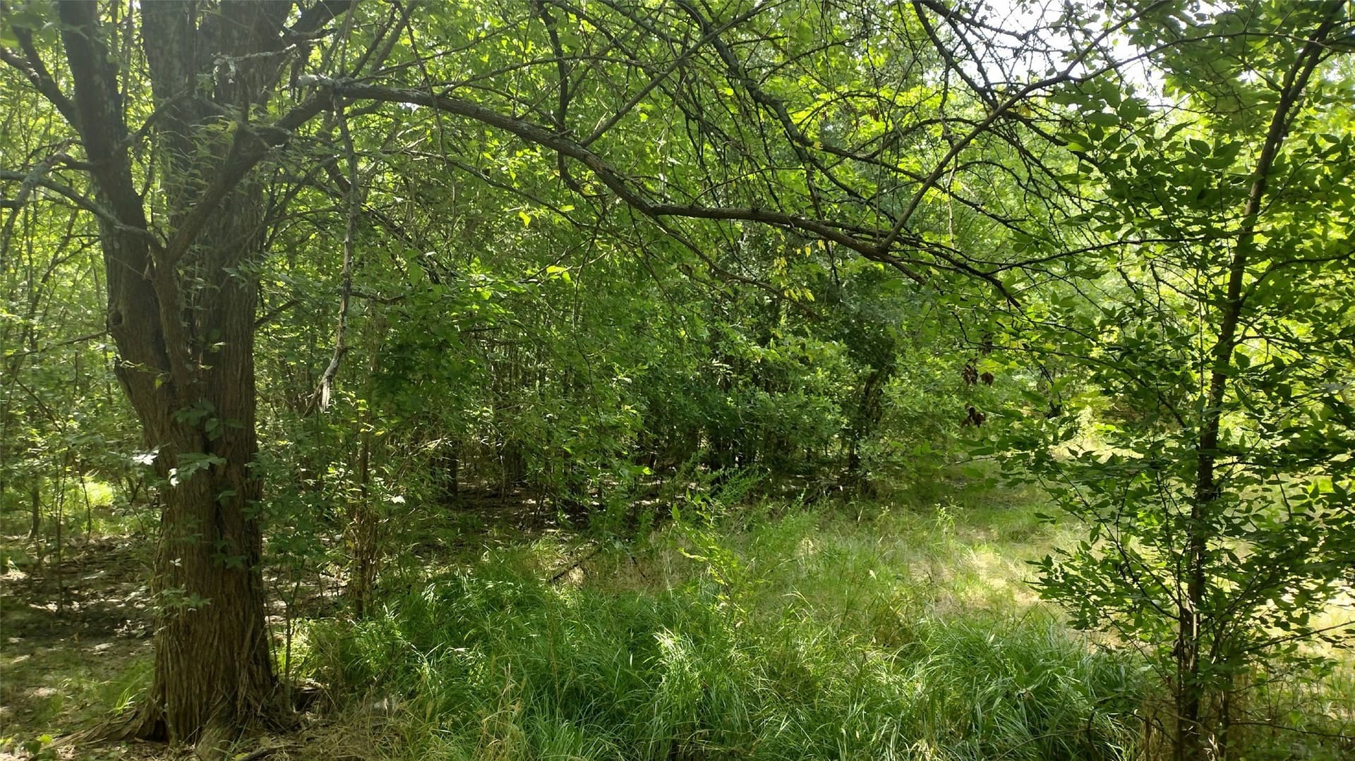 1.22 acres in Hunt County - photo 8