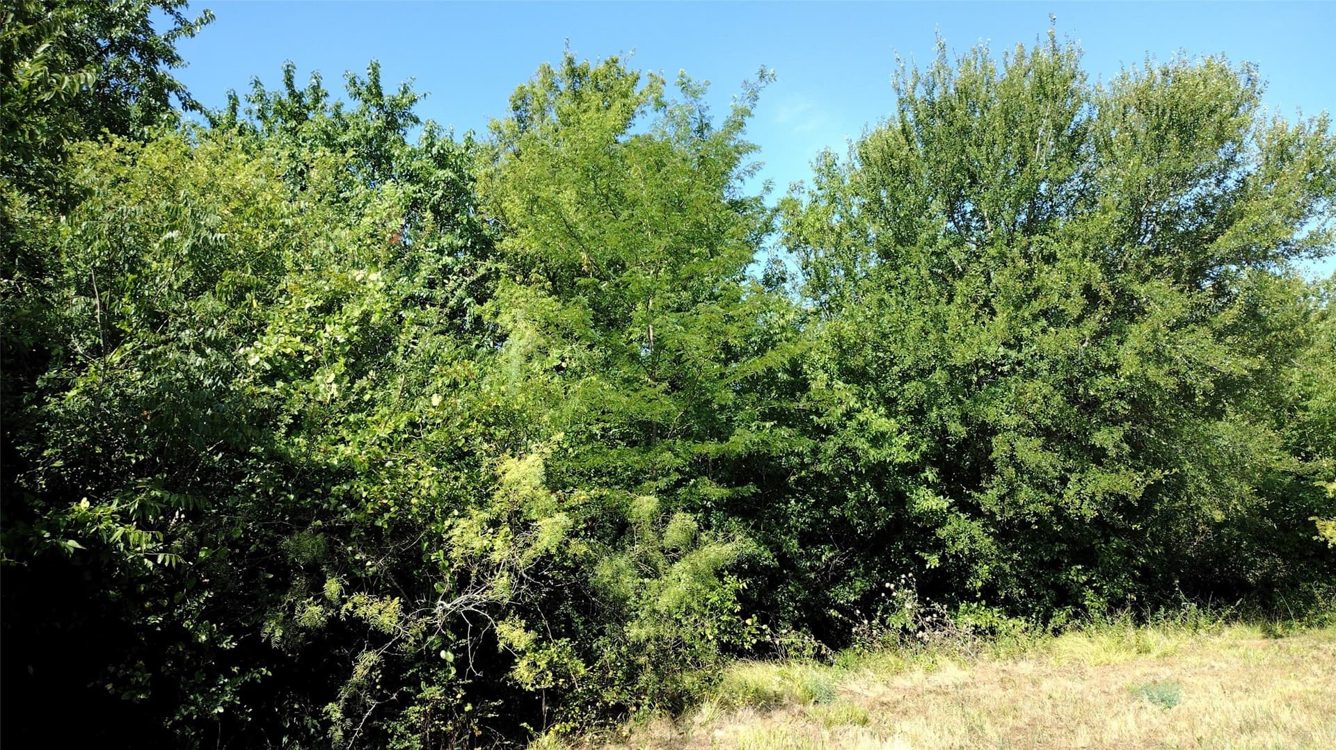 1.22 acres in Hunt County - photo 7