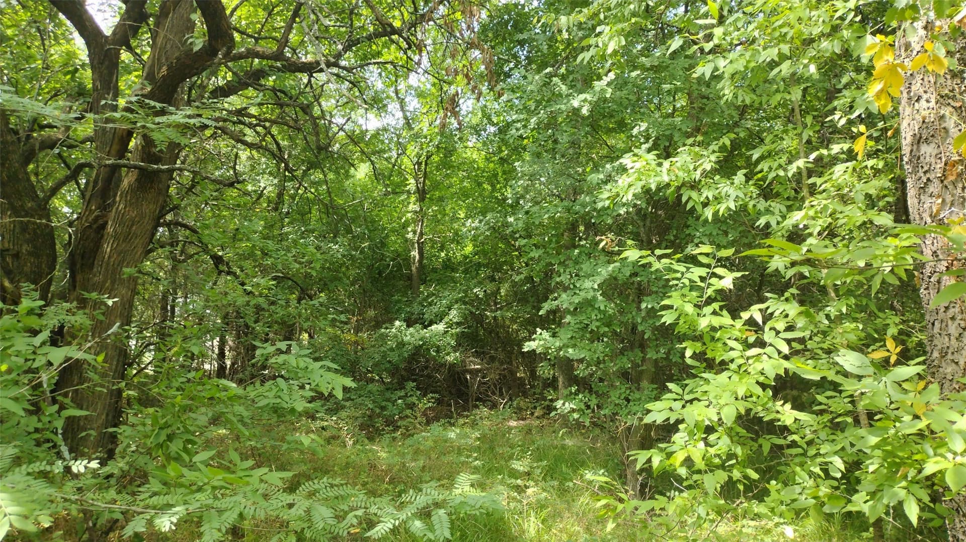 1.22 acres in Hunt County - photo 17
