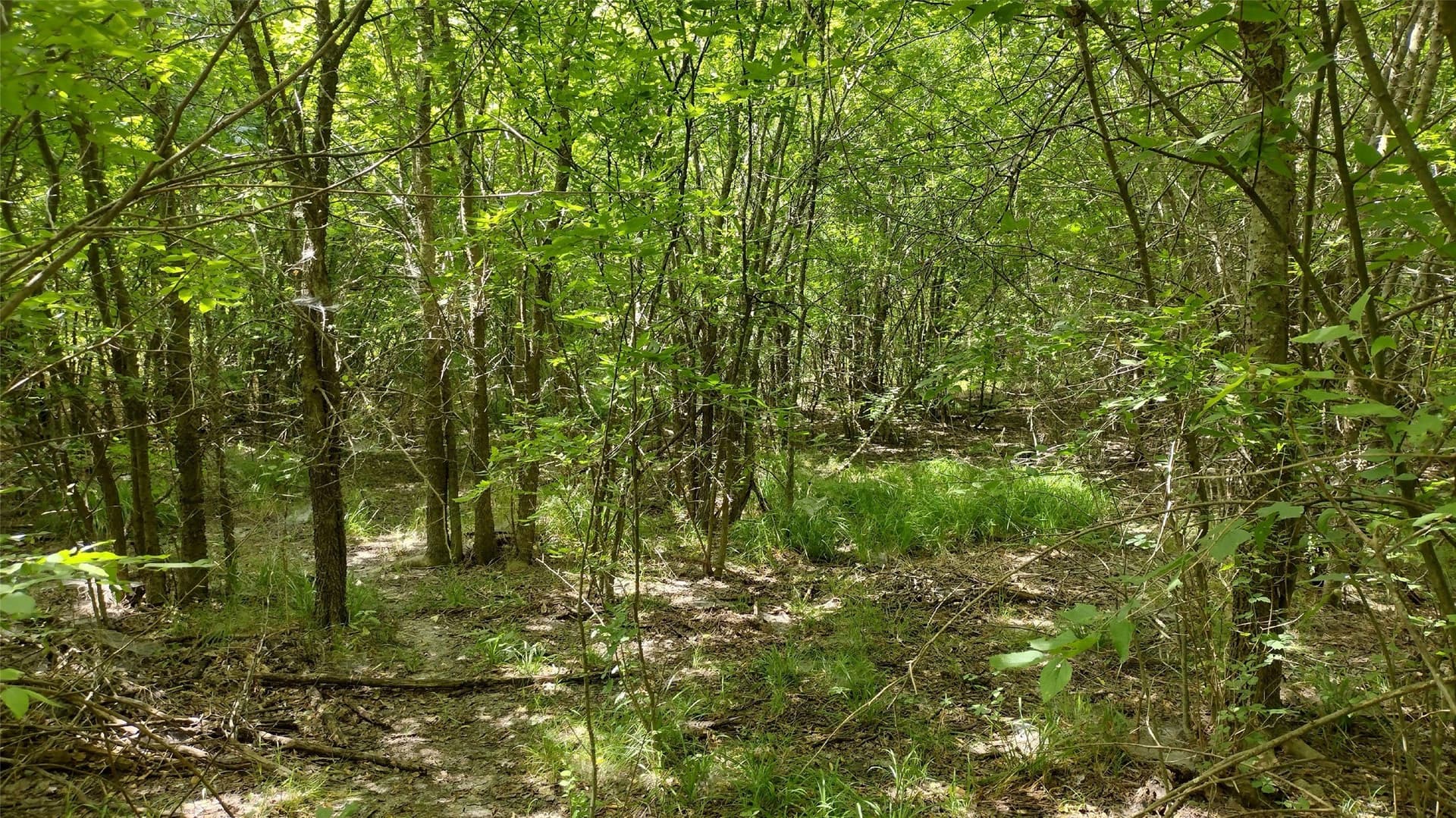 1.22 acres in Hunt County - photo 10