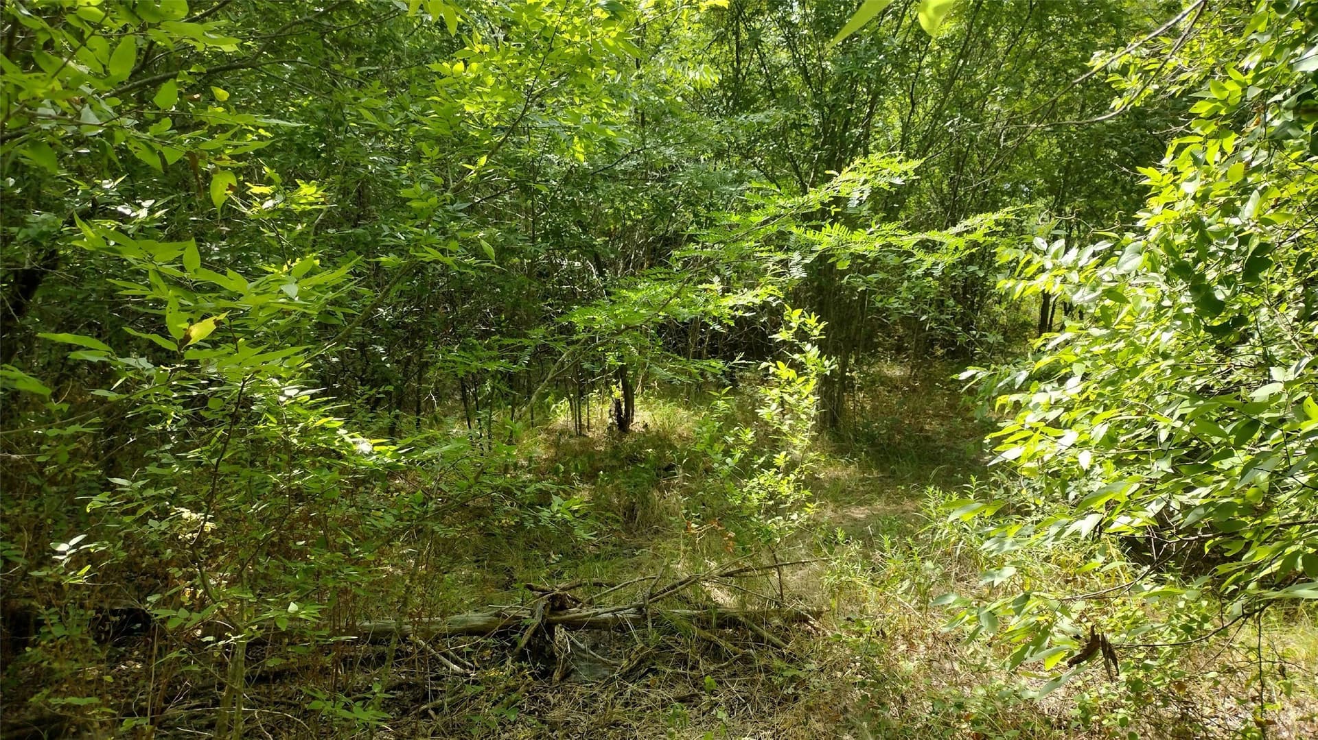 1.22 acres in Hunt County - photo 12