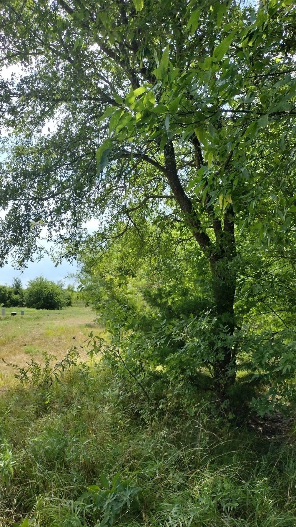 1.22 acres in Hunt County - photo 14