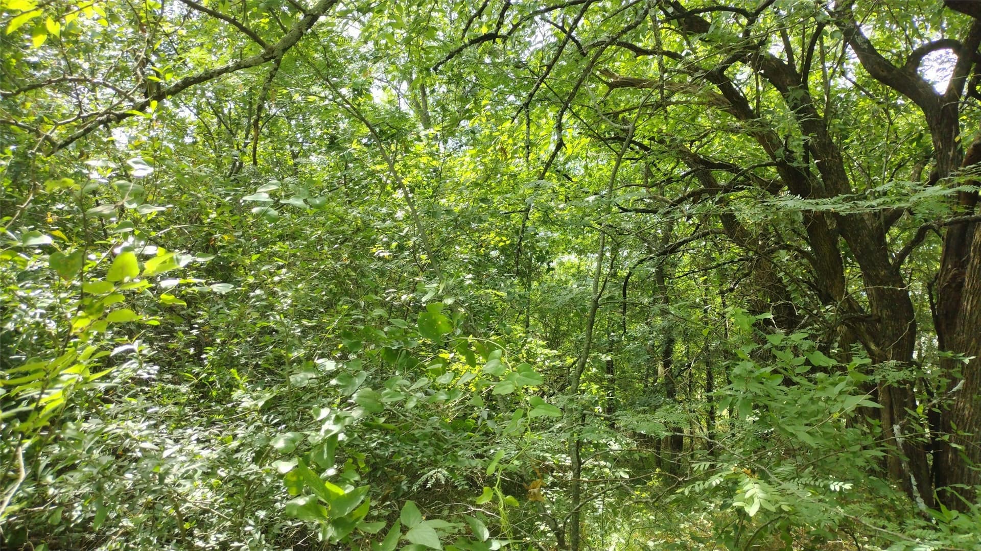 1.22 acres in Hunt County - photo 16