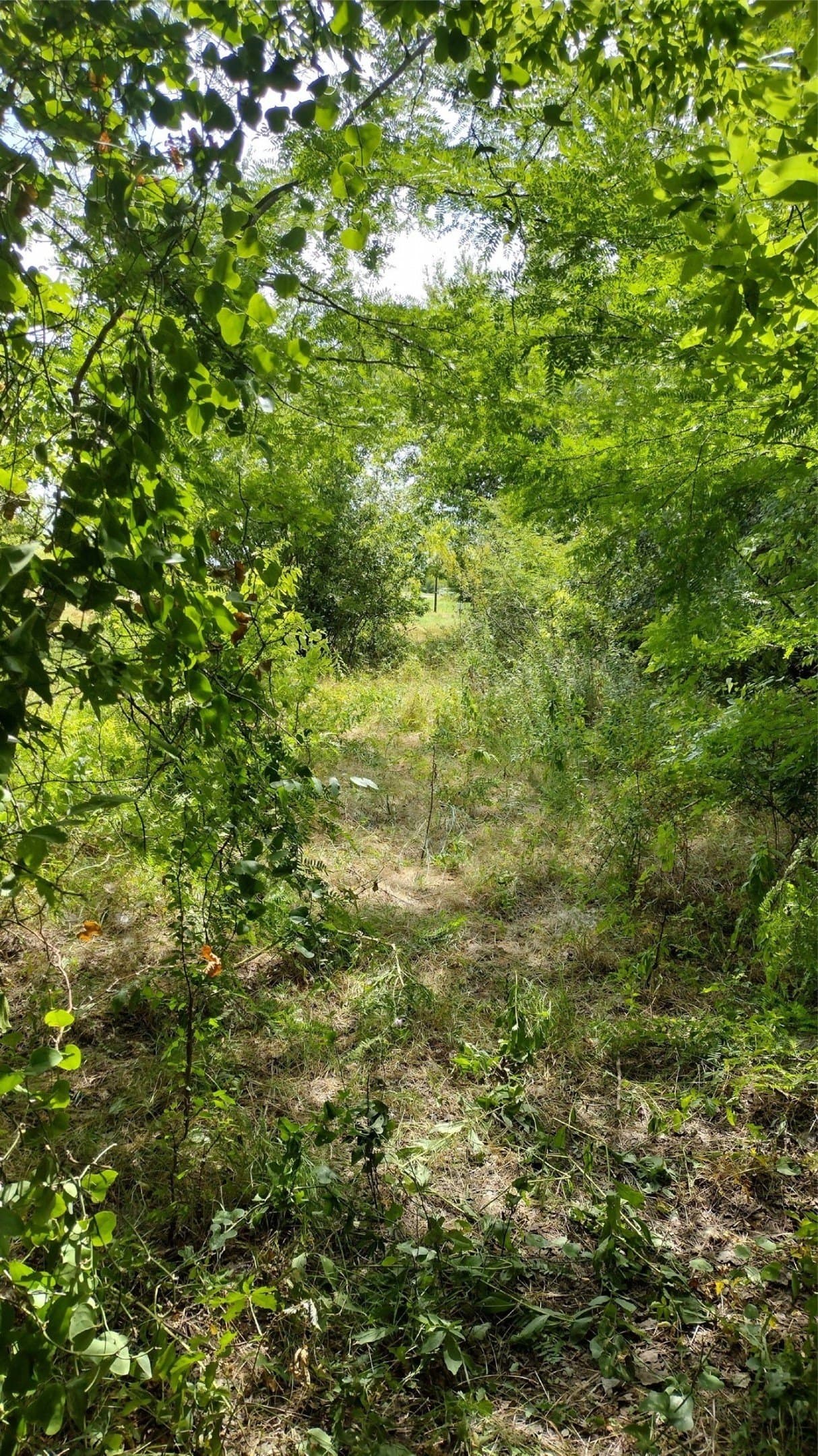 1.22 acres in Hunt County - photo 11