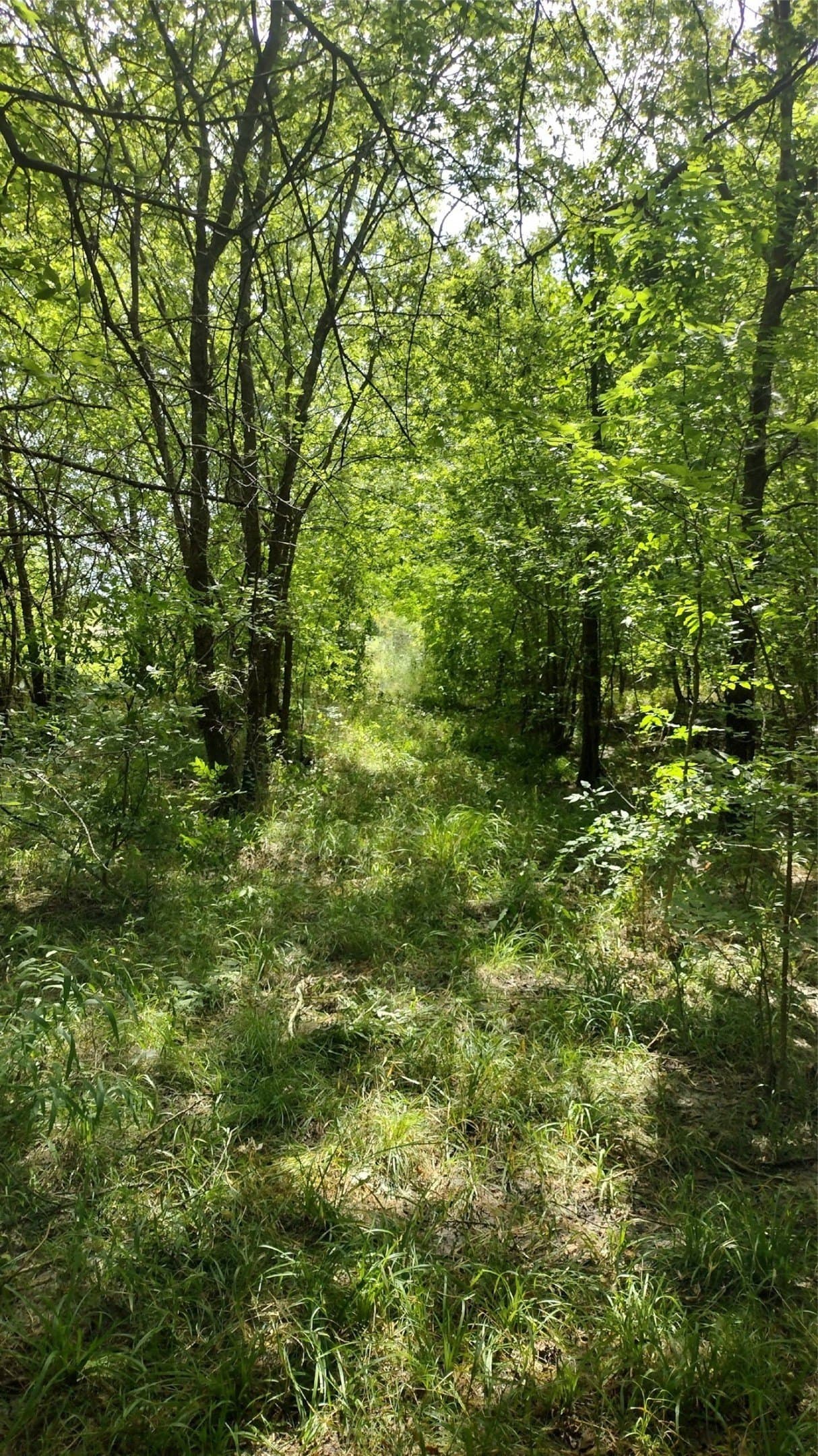 1.22 acres in Hunt County - photo 9