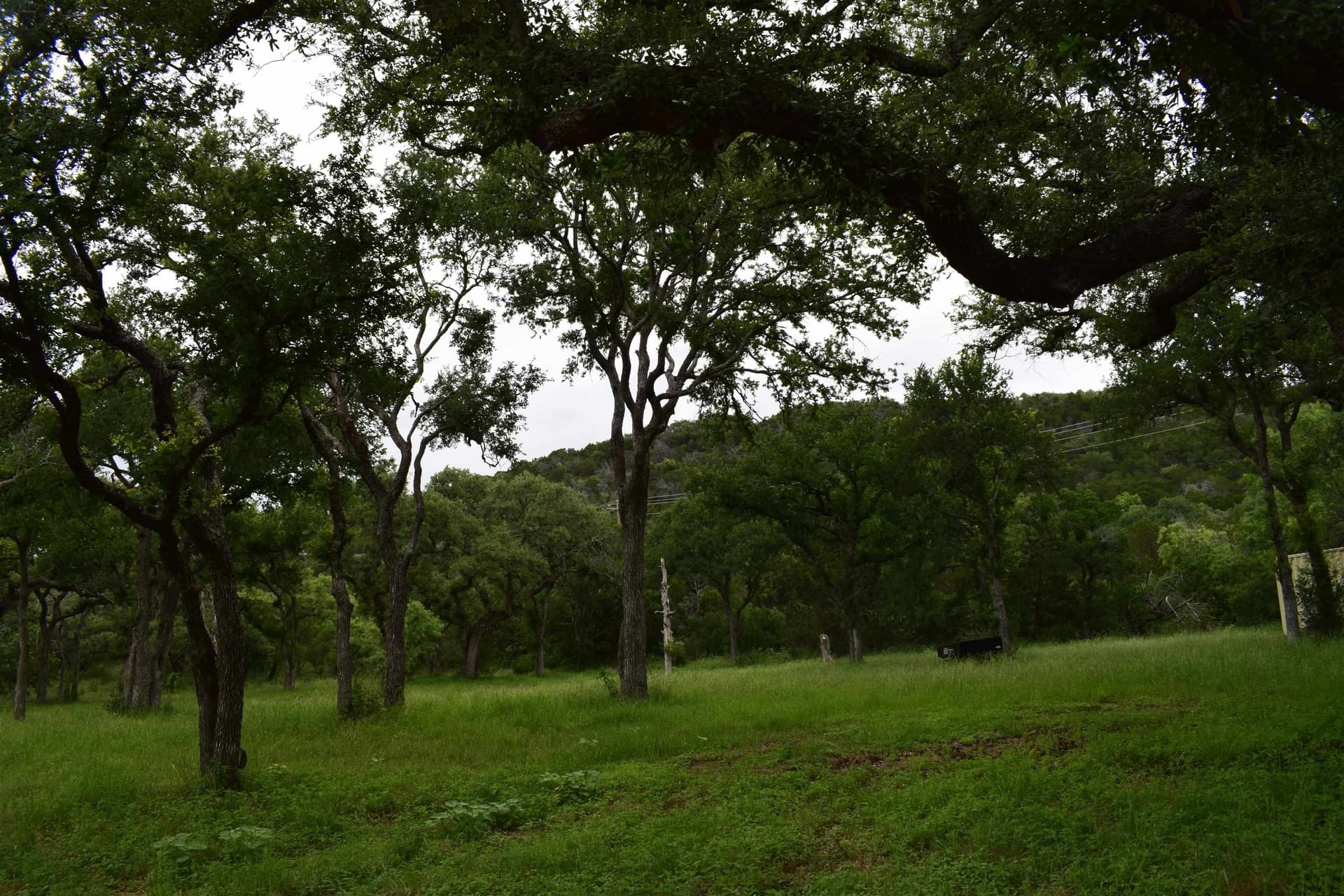7 acres in Burnet County - photo 7