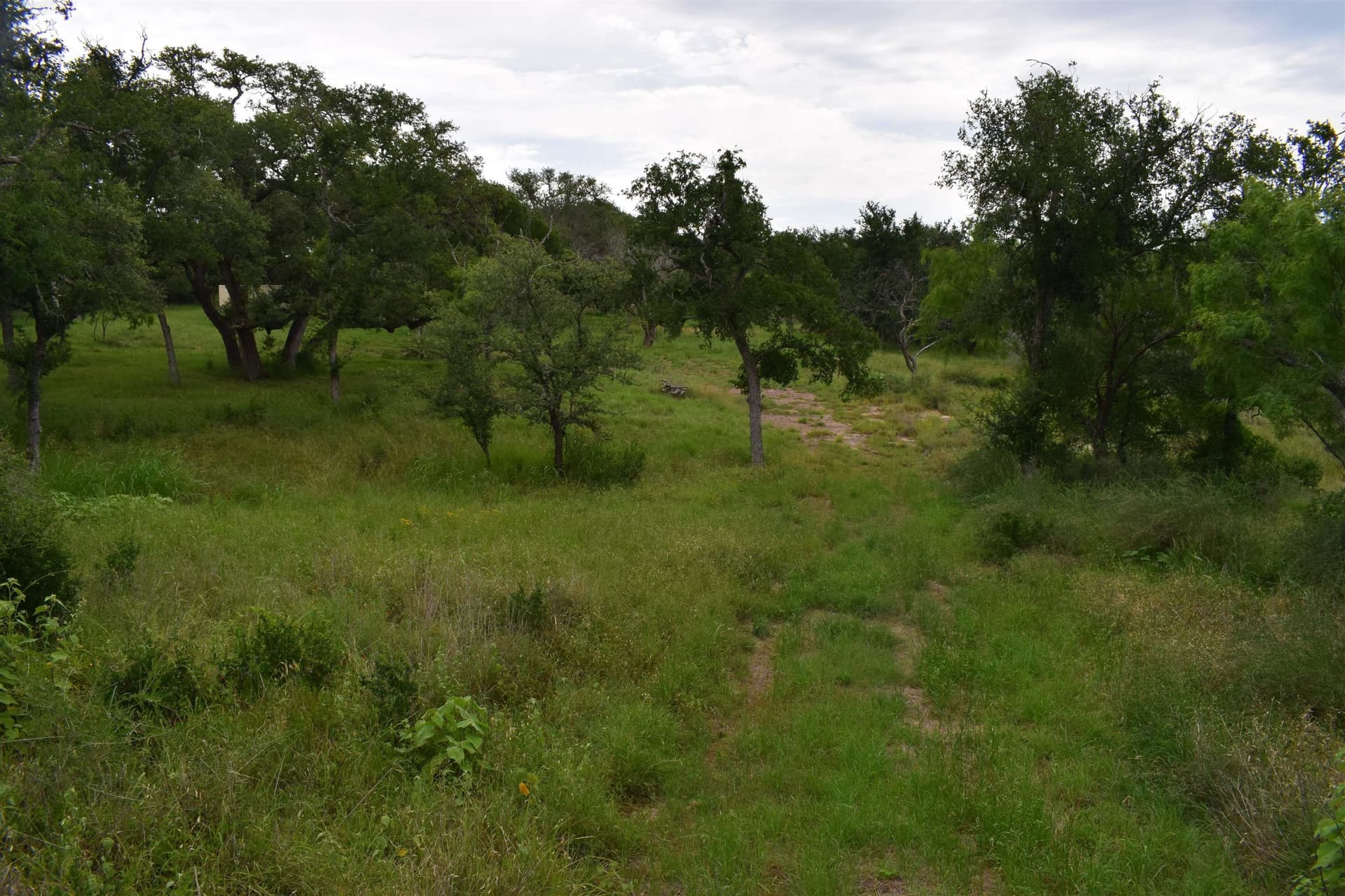 7 acres in Burnet County - photo 8
