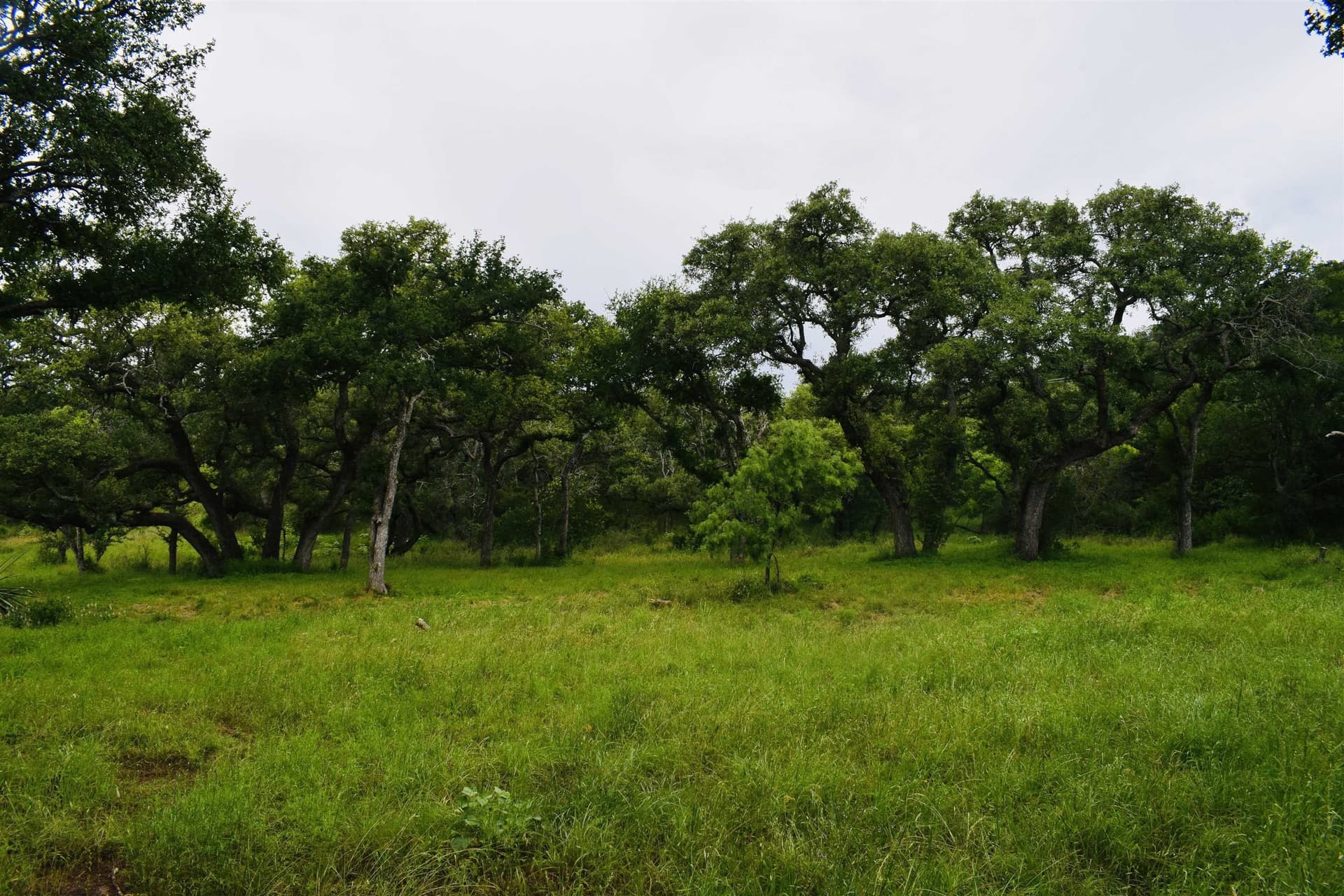 7 acres in Burnet County featured view