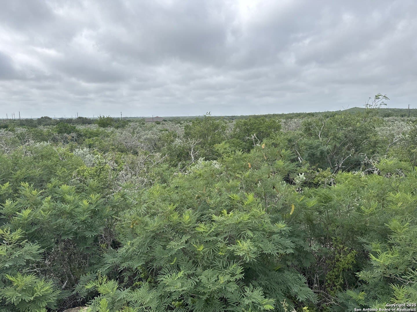 3 acres in Uvalde County gallery image 2