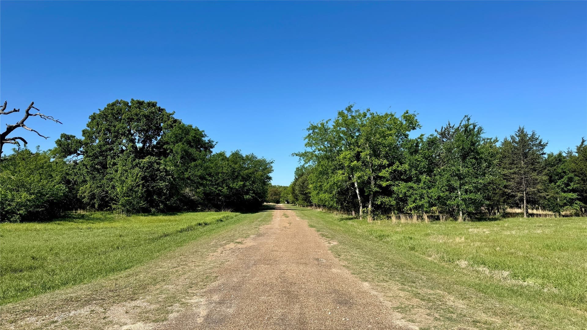 53.11 acres in Hunt County - photo 6