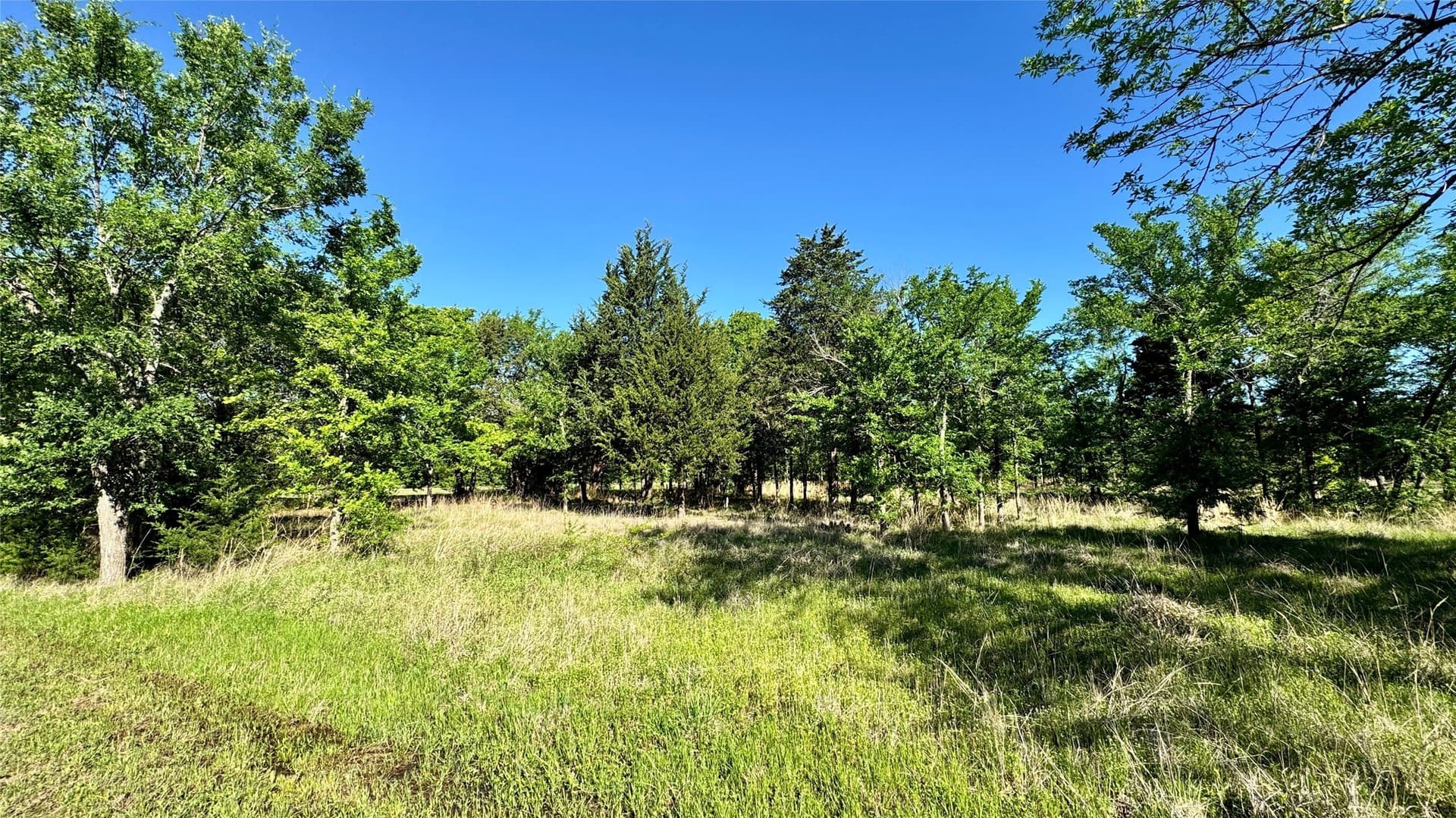 53.11 acres in Hunt County - photo 11
