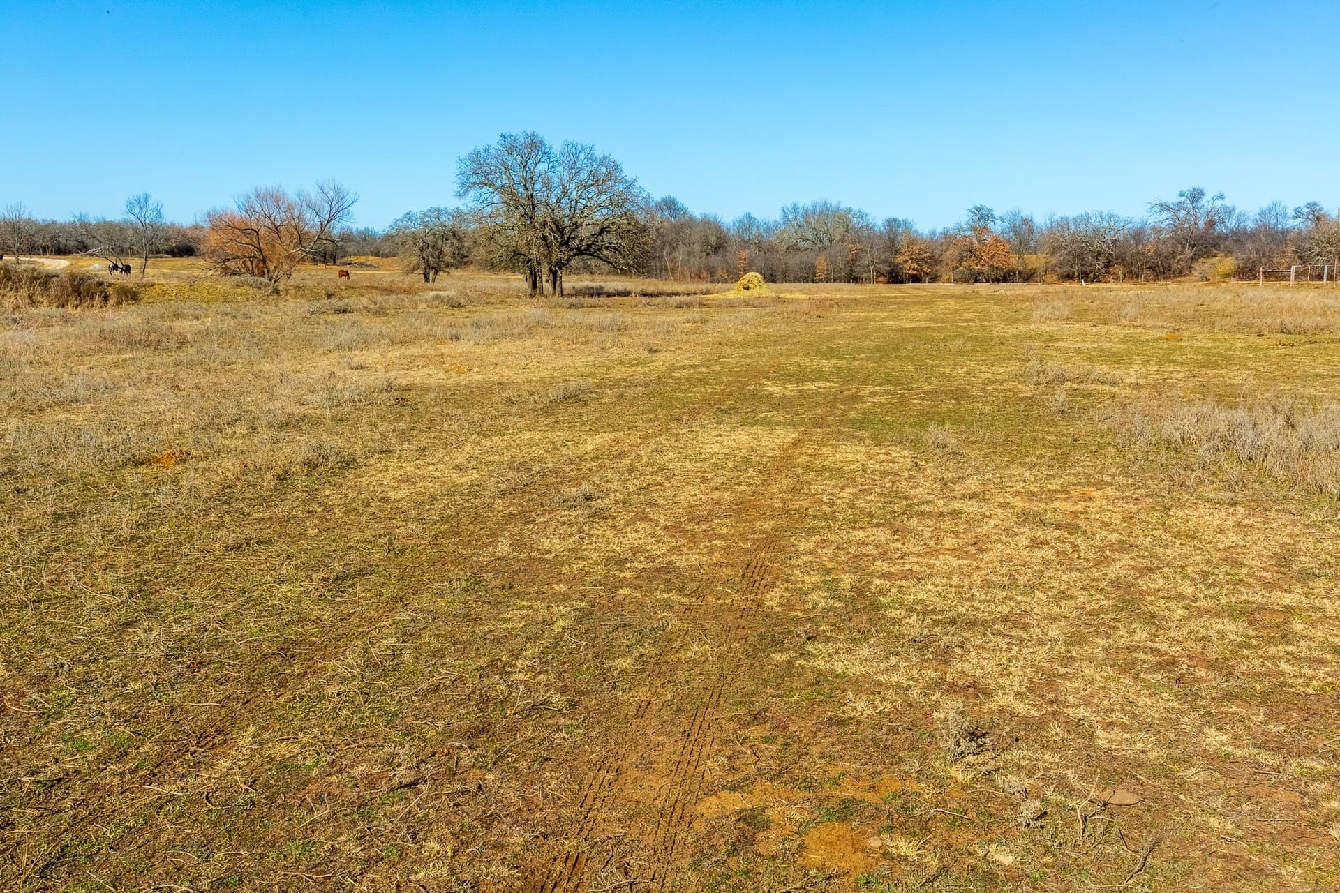 35.5 acres in Jack County featured view