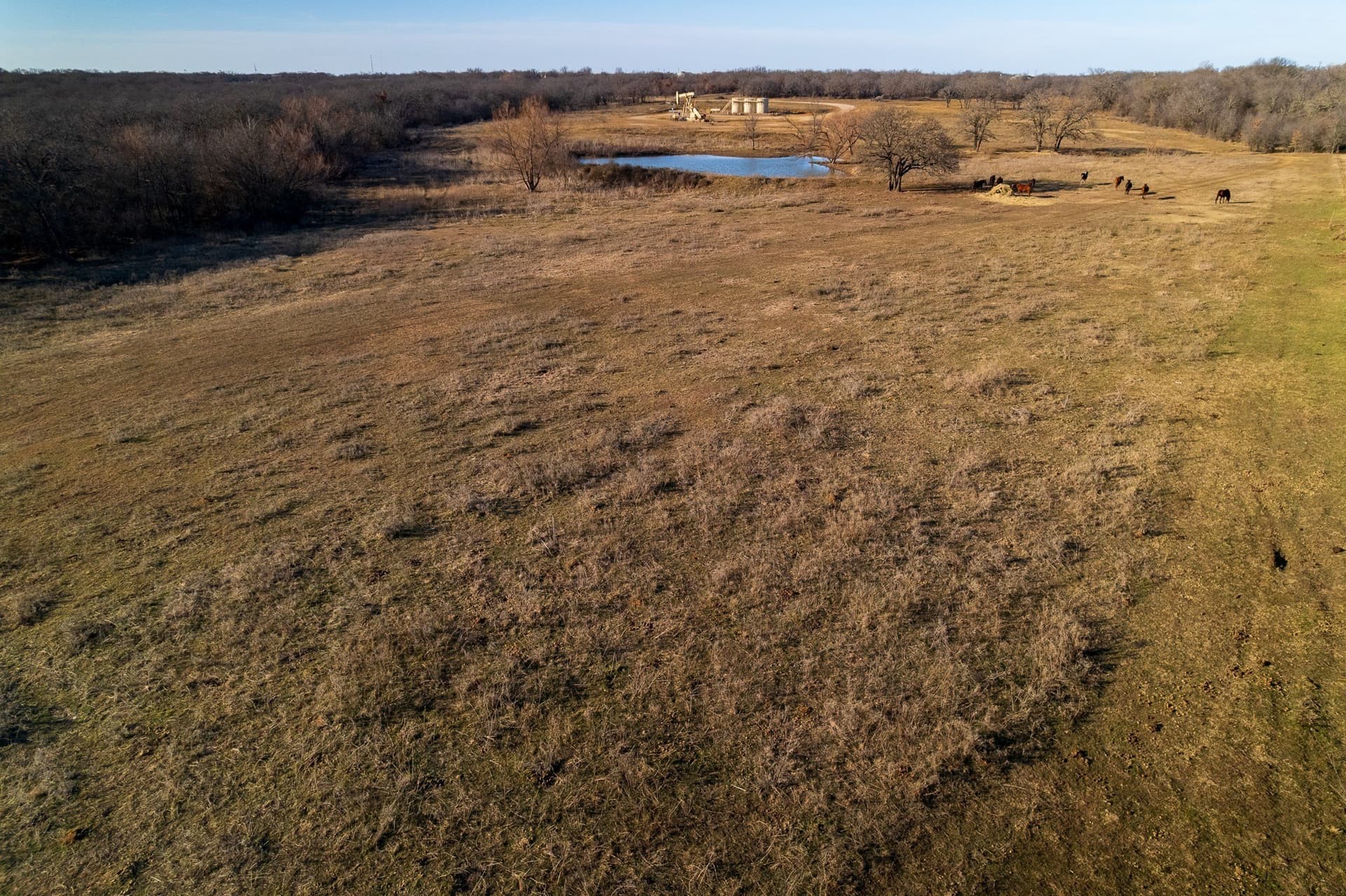 35.5 acres in Jack County gallery image 3