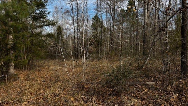 20.02 acres in Anderson County - photo 26