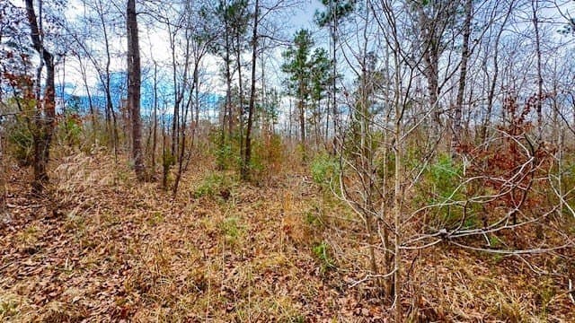 20.02 acres in Anderson County - photo 9