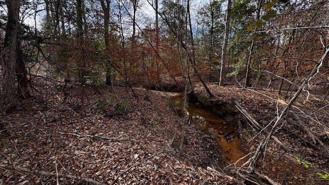 20.02 acres in Anderson County - photo 19
