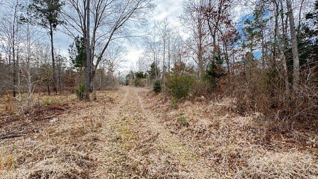 20.02 acres in Anderson County featured view