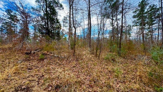20.02 acres in Anderson County - photo 10
