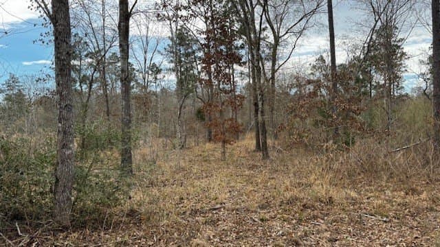 20.02 acres in Anderson County - photo 11