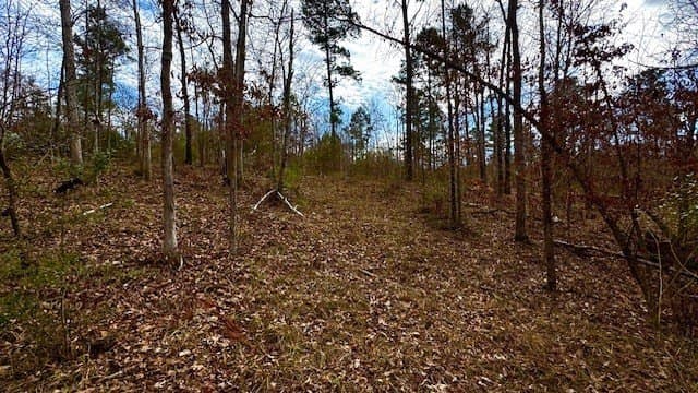20.02 acres in Anderson County - photo 6