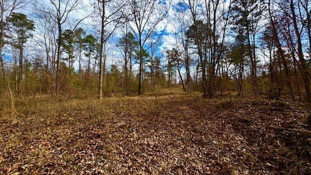 20.02 acres in Anderson County - photo 12