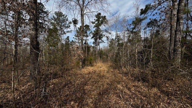 20.02 acres in Anderson County - photo 20