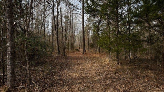 20.02 acres in Anderson County - photo 28
