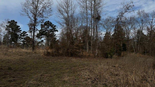 20.02 acres in Anderson County - photo 31