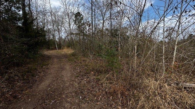 20.02 acres in Anderson County - photo 23