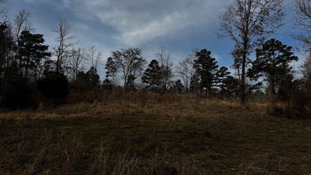 20.02 acres in Anderson County - photo 30