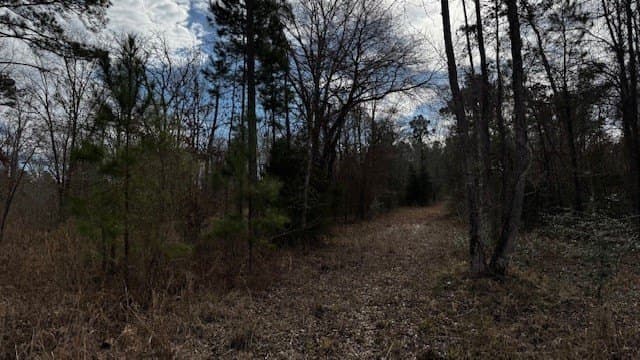 20.02 acres in Anderson County - photo 29