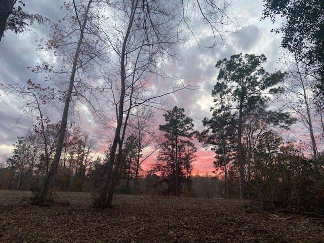 20.02 acres in Anderson County