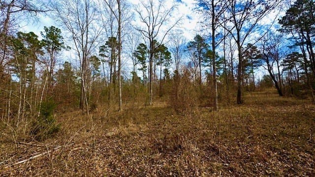 20.02 acres in Anderson County - photo 13