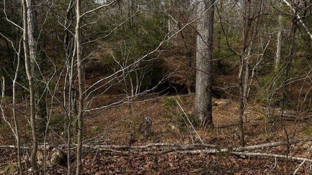20.02 acres in Anderson County - photo 17