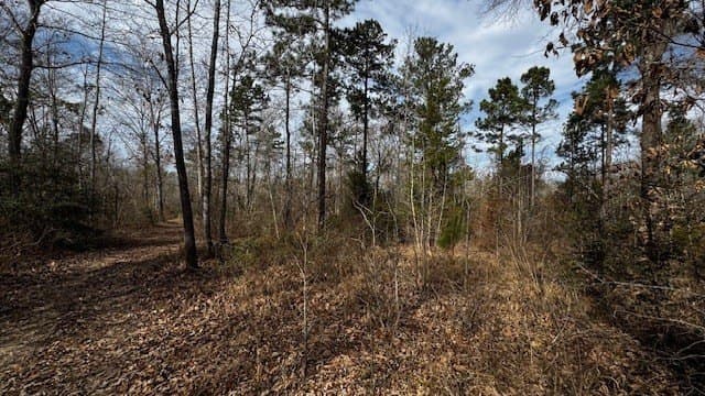 20.02 acres in Anderson County - photo 22