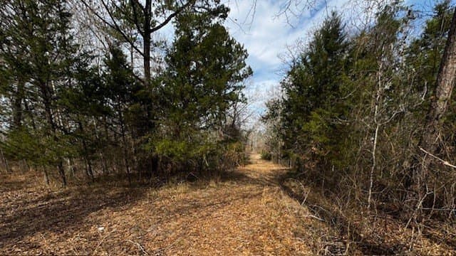 20.02 acres in Anderson County - photo 21