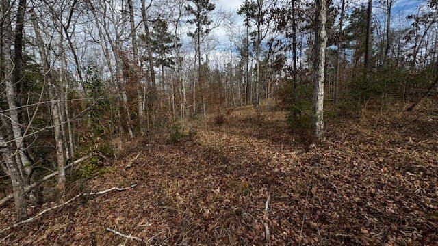 20.02 acres in Anderson County - photo 18