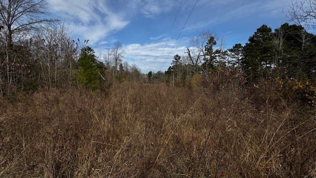 20.02 acres in Anderson County - photo 24