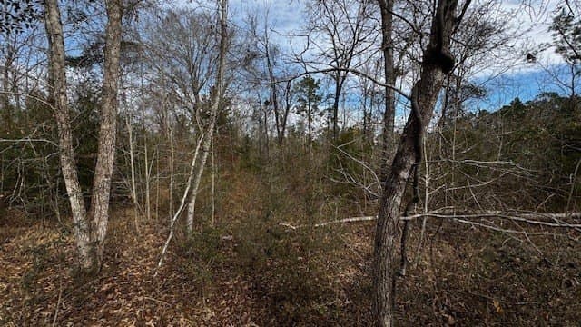 20.02 acres in Anderson County - photo 25