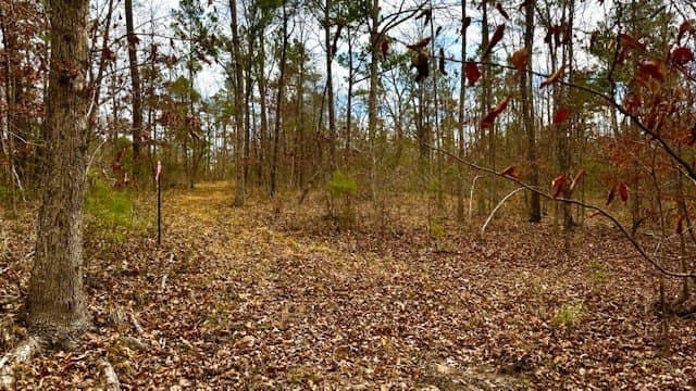 20.02 acres in Anderson County - photo 8