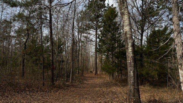 20.02 acres in Anderson County - photo 27