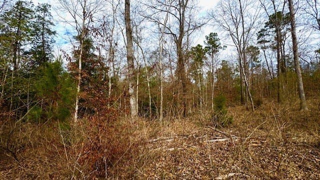 20.02 acres in Anderson County - photo 14