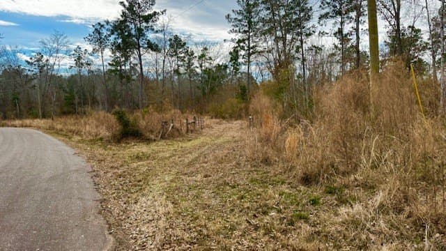 20.02 acres in Anderson County gallery image 4