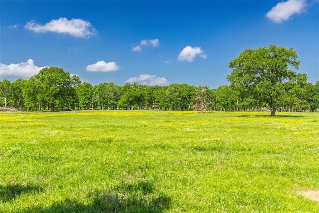 407.79 acres in Hopkins County gallery image 4