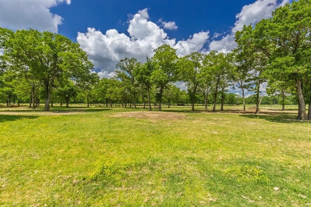 407.79 acres in Hopkins County featured view