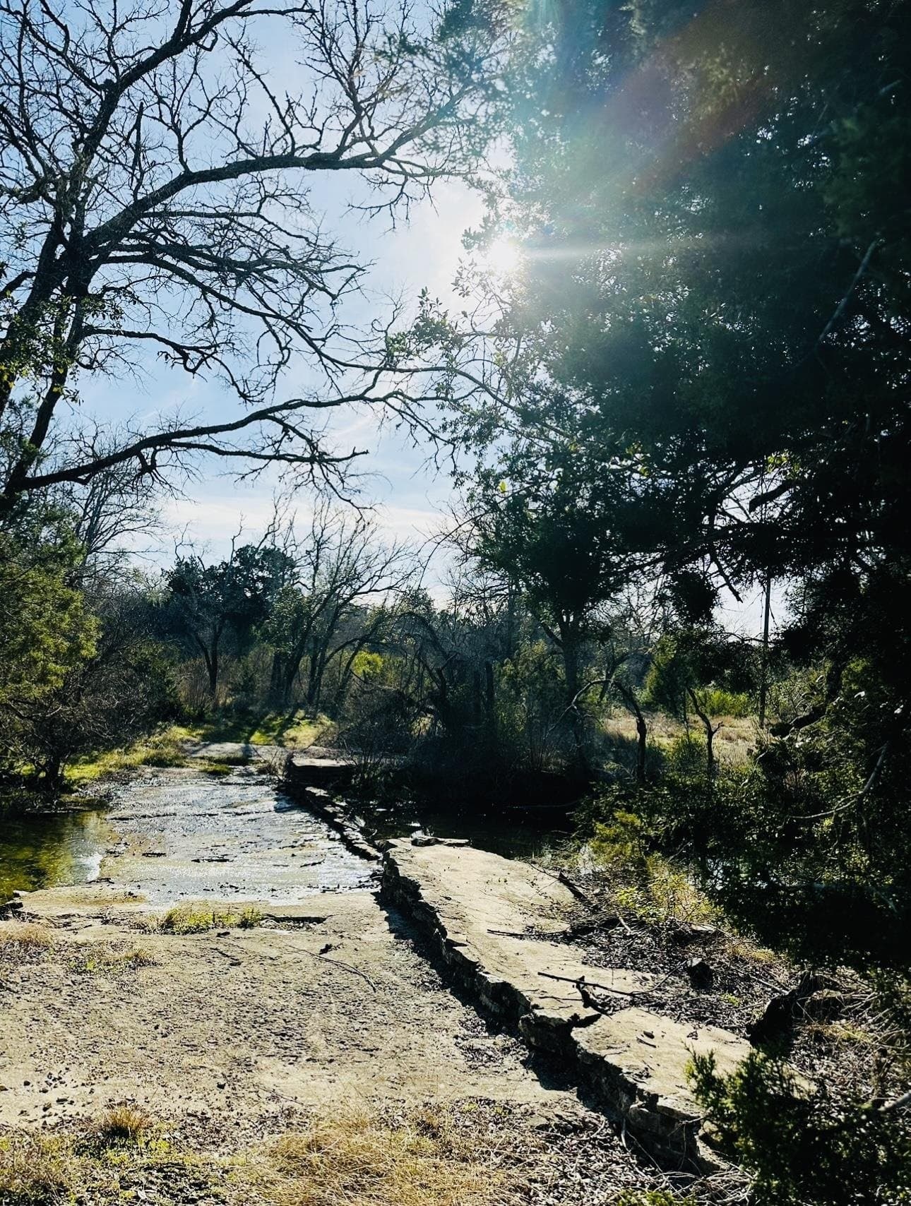 70 acres in Burnet County - photo 15