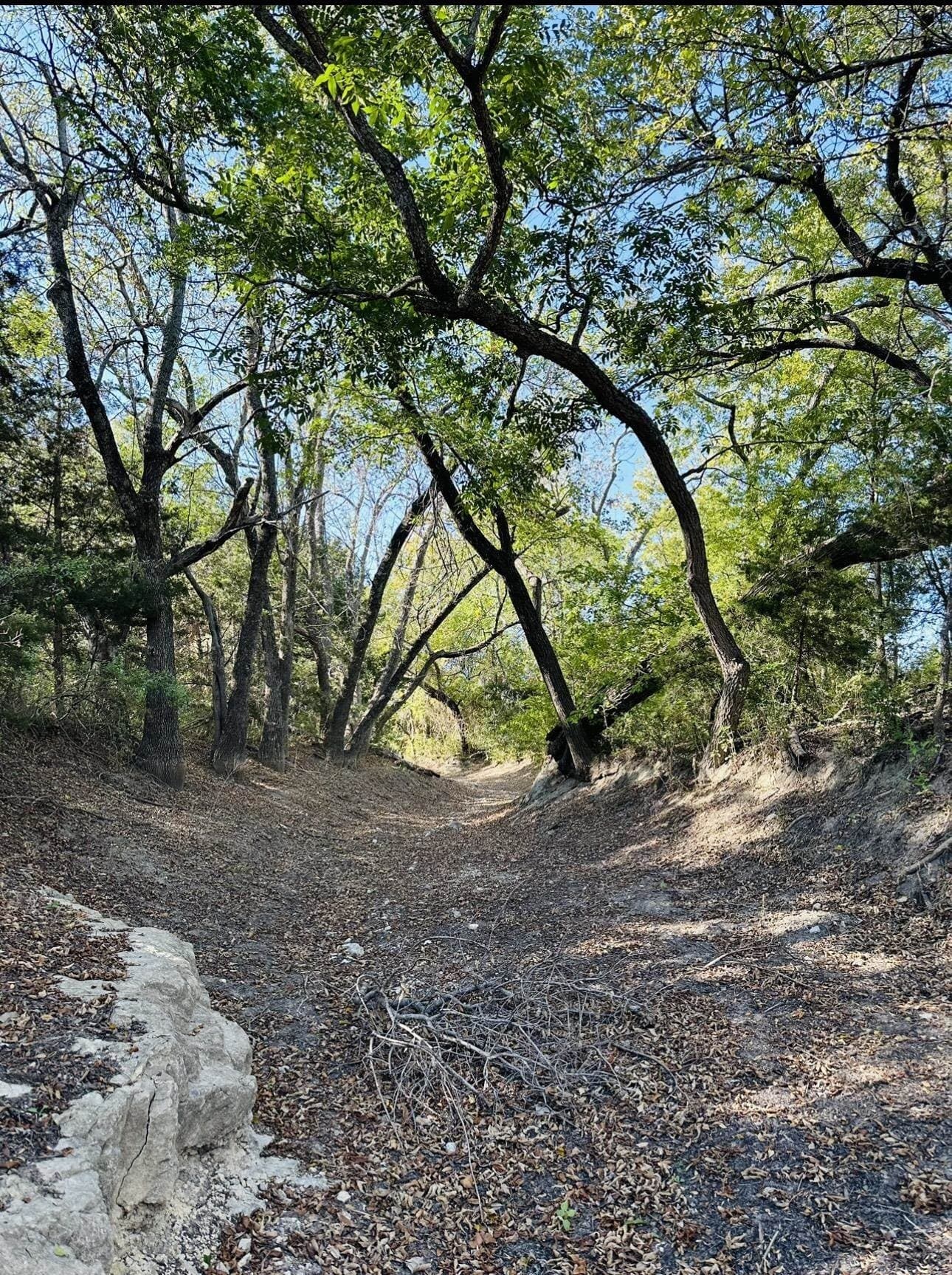 70 acres in Burnet County gallery image 3
