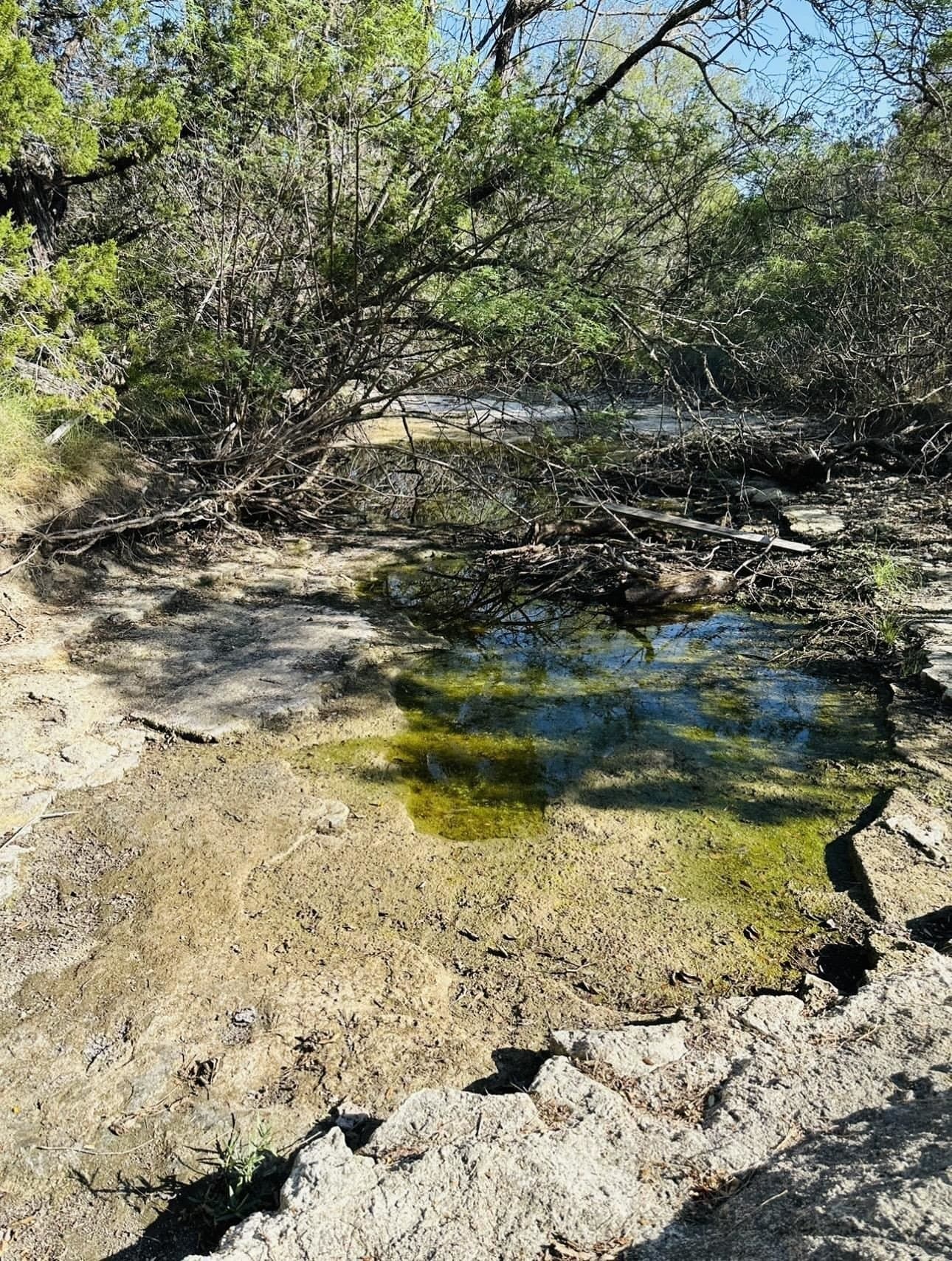 70 acres in Burnet County gallery image 4